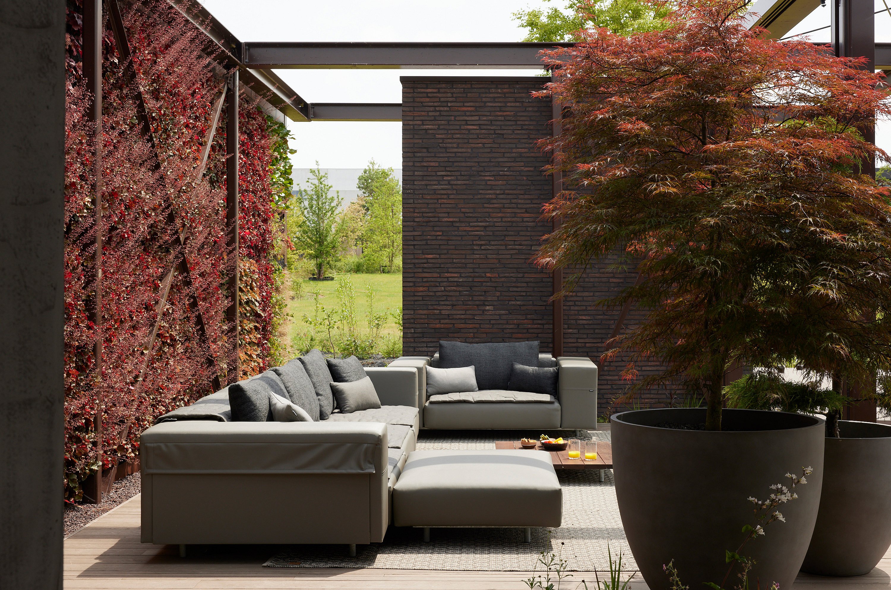 Der Lounge-Bereich im Freien mit der Walrus-Lounge und Kissen auf einer Holzterrasse wird von einem üppigen, vertikalen Garten mit roten Blättern auf der einen und einem großen japanischen Ahorn im Topf auf der anderen Seite eingerahmt.
