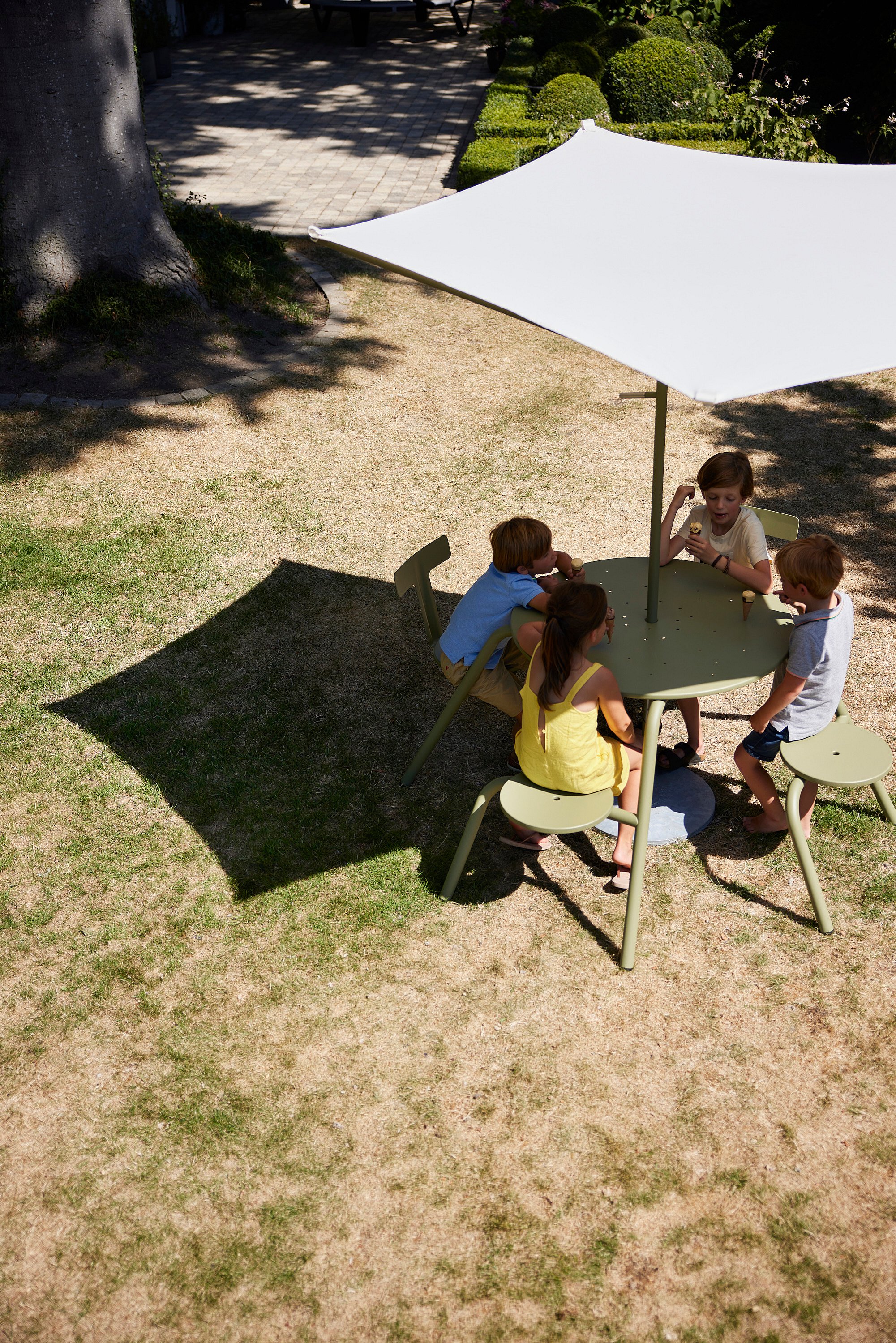Top shot of the Extremis Acacia shade with Virus table 