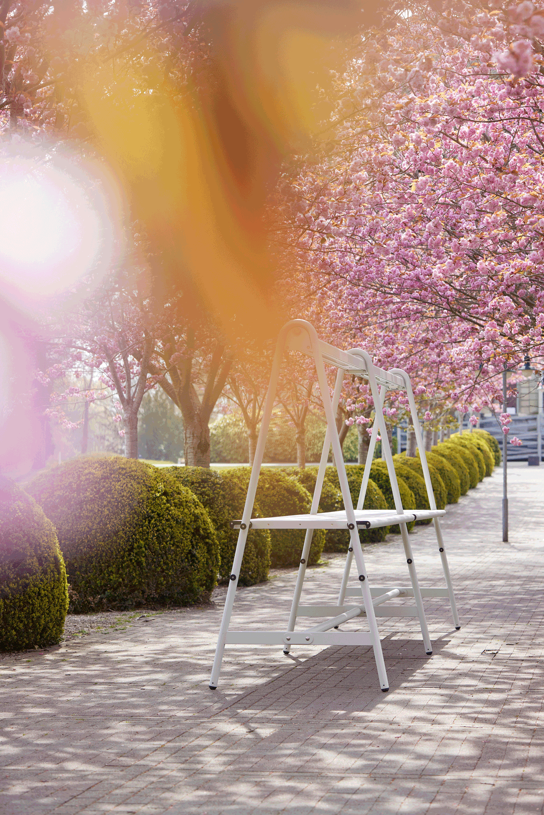 Animiertes Bild: Dieselbe Frühlingsszene im Freien mit Kirschblüten.