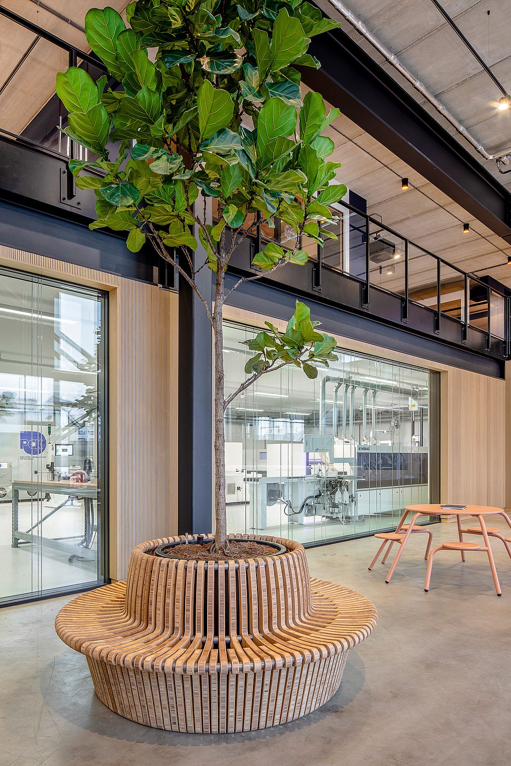 Un espace intérieur avec un grand arbre feuillu planté sur une banquette circulaire en bois à lattes, intégré dans un décor industriel moderne. Ce dernier se caractérise par des pièces vitrées, un plafond en béton apparent, une rambarde de mezzanine en métal noir et, en arrière-plan, une table Virus couleur pêche avec des banquettes assorties.