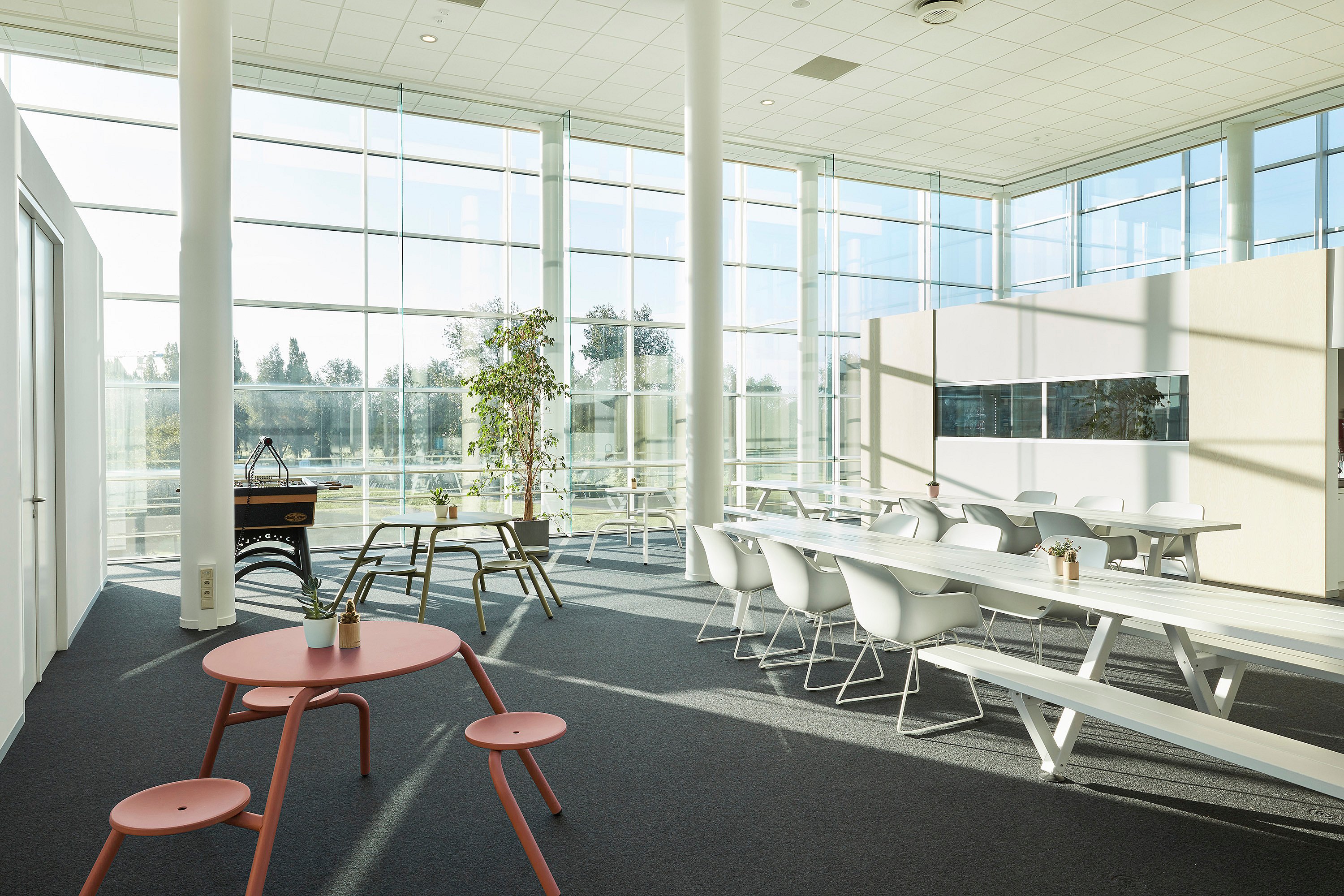 Ruim interieurbeeld van de eetruimte van de CCV-kantoren, met lange Marina-tafels en -banken; grote ramen en moderne kantoorverlichting creëren een lichte, collaboratieve omgeving.