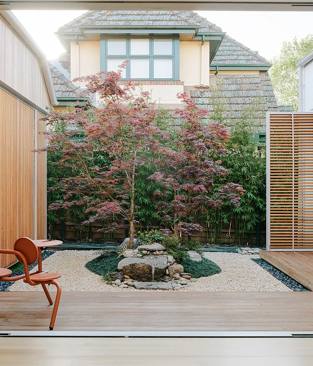 Ein mit Holz verkleideter Innenhof eines minimalistischen Hauses in Melbourne mit einem japanischen Ahornbaum im Zentrum und einer kupferbraunen Bistro-Tischgruppe auf der Terrasse.