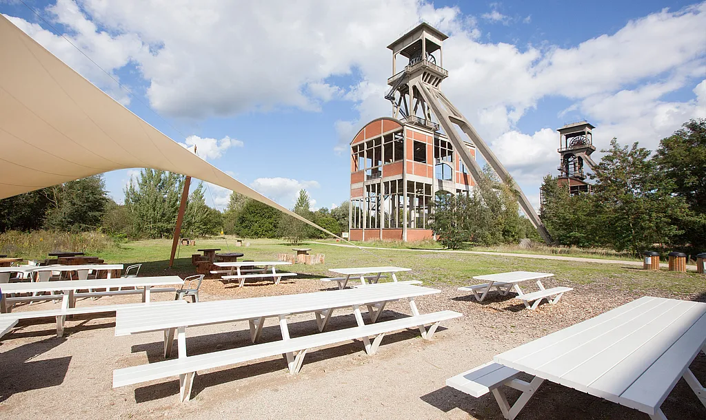 Terrasse extérieure du café Connecterra surplombant le paysage du parc national de la Haute Campine, avec tables et bancs Marina disposés sur une terrasse en bois à ciel ouvert.