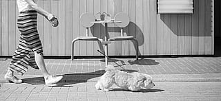 Black-and-white street scene of a woman walking a small fluffy dog past the Bistroo 2-seater, with the restaurant façade and drinks visible behind them.