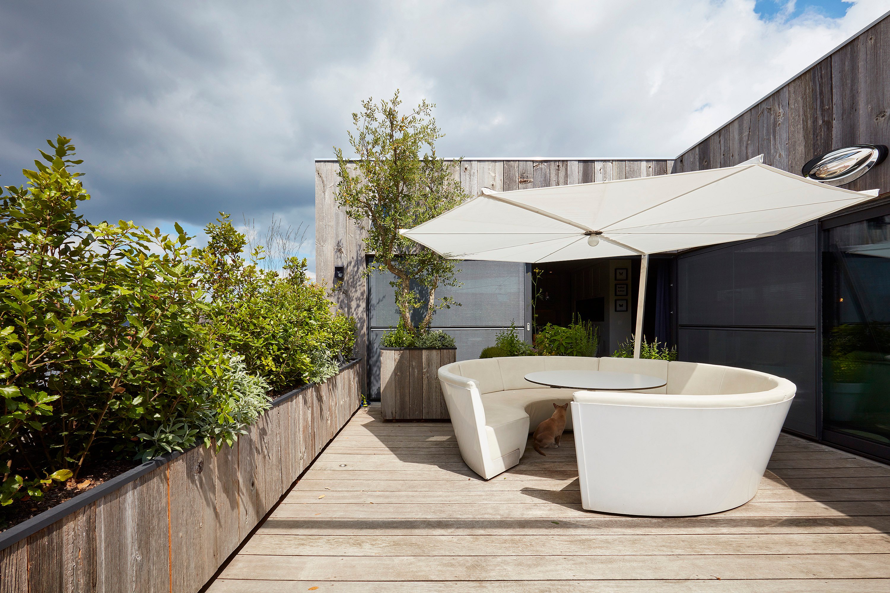 Terrasse sur le toit compacte avec un canapé circulaire Kosmos blanc et une table sous un grand parasol blanc, entourée de plates-bandes luxuriantes et d’un revêtement en bois patiné ; un chat roux est assis sous la table.