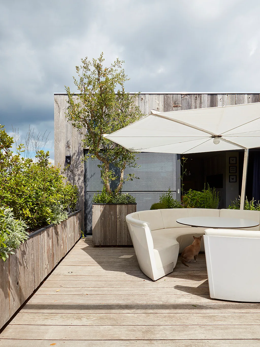 Compact rooftop terrace with a white Kosmos circular sofa and table under a large white parasol, surrounded by lush planting beds and weathered wood cladding; a ginger cat sits beneath the table.