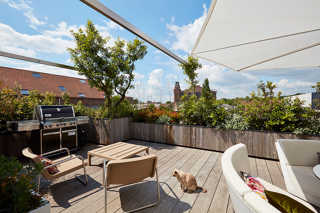 Sonnige Dachterrasse mit zwei Liegestühlen, einem niedrigen Tisch, einem Grill und einer roten Katze, die auf der Holzterrasse neben den Kosmos-Sitzgelegenheiten sitzt.