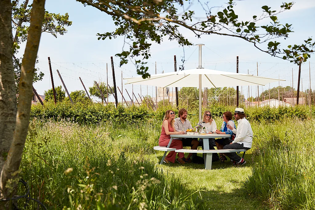 Fünf Kollegen versammelten sich um einen runden Pantagruel-Picknicktisch unter einem großen weißen Sonnenschirm auf einer sonnenbeschienenen Wiese, umgeben von hohem Gras und eingerahmt von Ästen.