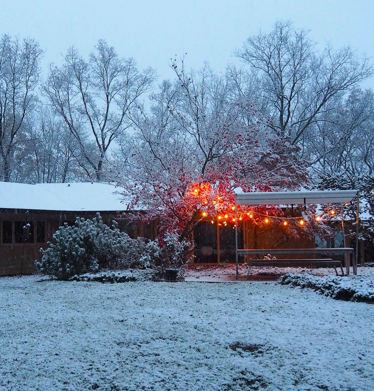 White Hopper picnic table in a snowy woodland garden, surrounded by glowing string lights and red leaves still clinging to the snow-covered branches.