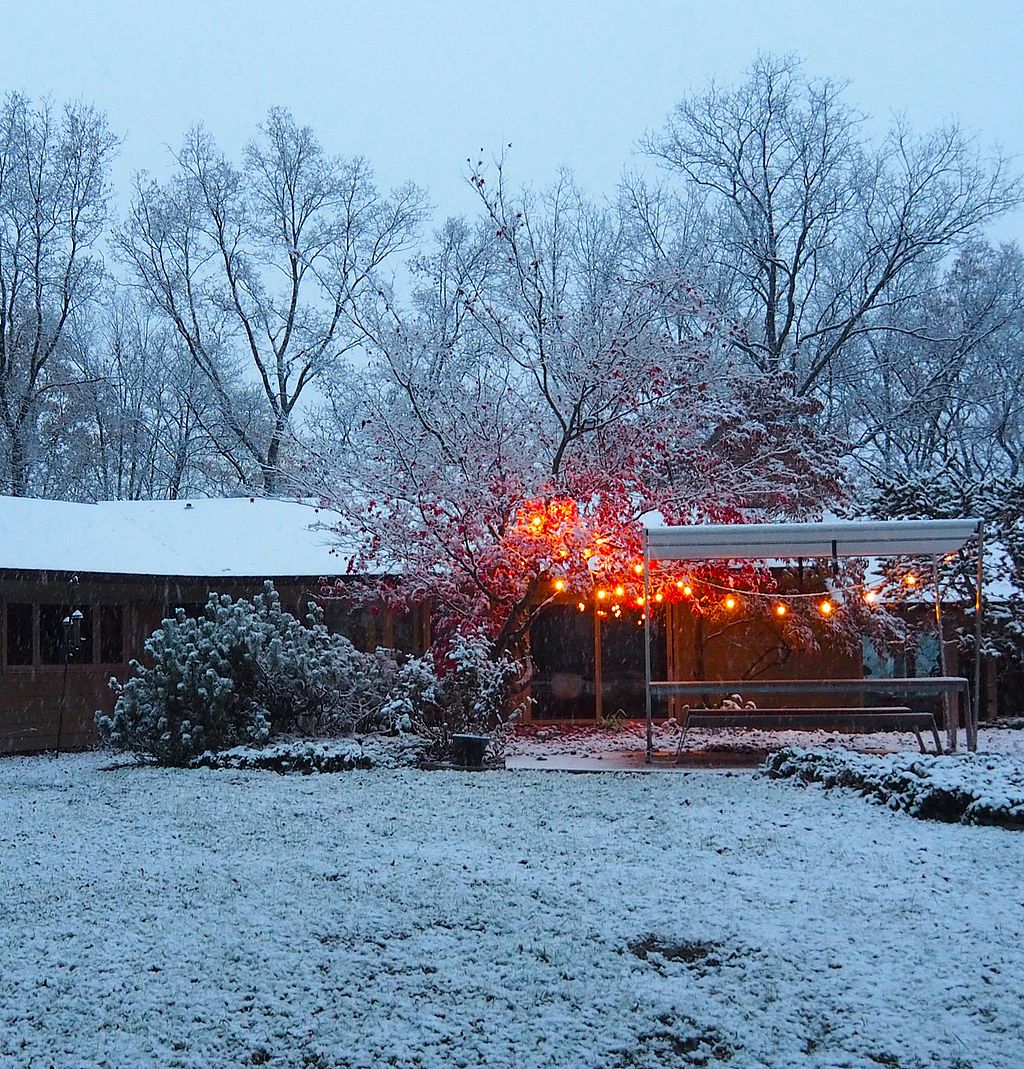 White Hopper picnic table in a snowy woodland garden, surrounded by glowing string lights and red leaves still clinging to the snow-covered branches.