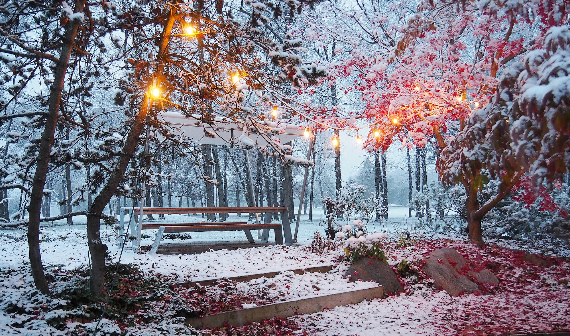 A Hopper picnic table with its canopy stretched overhead, standing on a snowy lawn beside a tree lit with glowing garland lights.