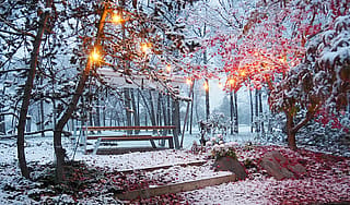 A Hopper picnic table with its canopy stretched overhead, standing on a snowy lawn beside a tree lit with glowing garland lights.