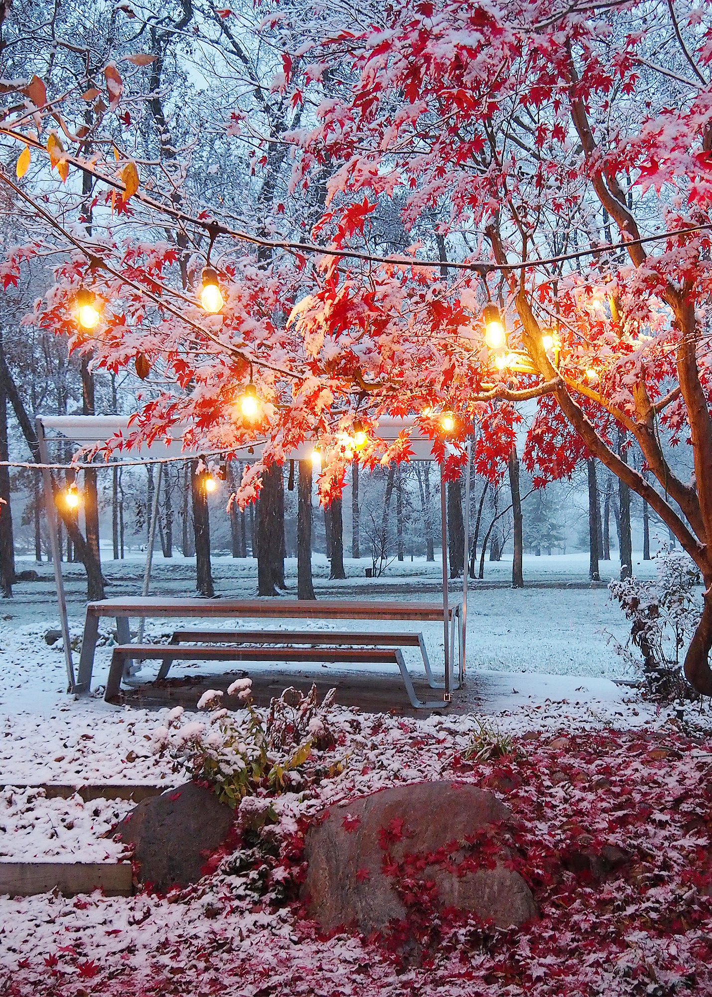 Besneeuwde tuin met een witte Hopper picknicktafel onder warme lichtslingers, omlijst door bomen met felrode, met sneeuw bedekte bladeren.