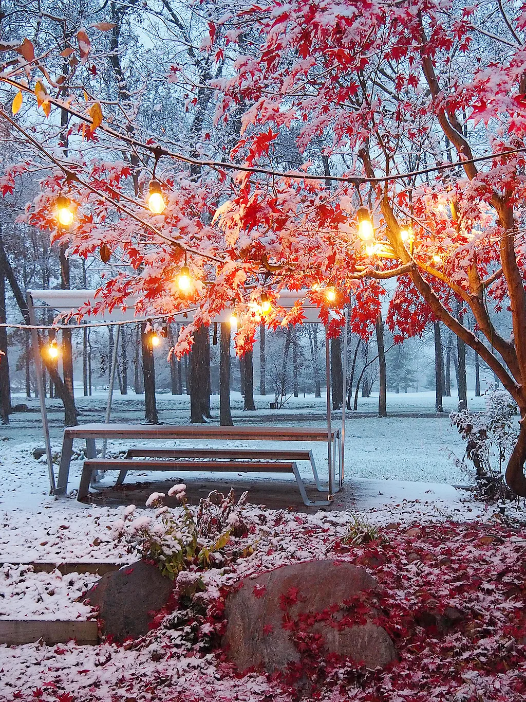 Besneeuwde tuin met een witte Hopper picknicktafel onder warme lichtslingers, omlijst door bomen met felrode, met sneeuw bedekte bladeren.