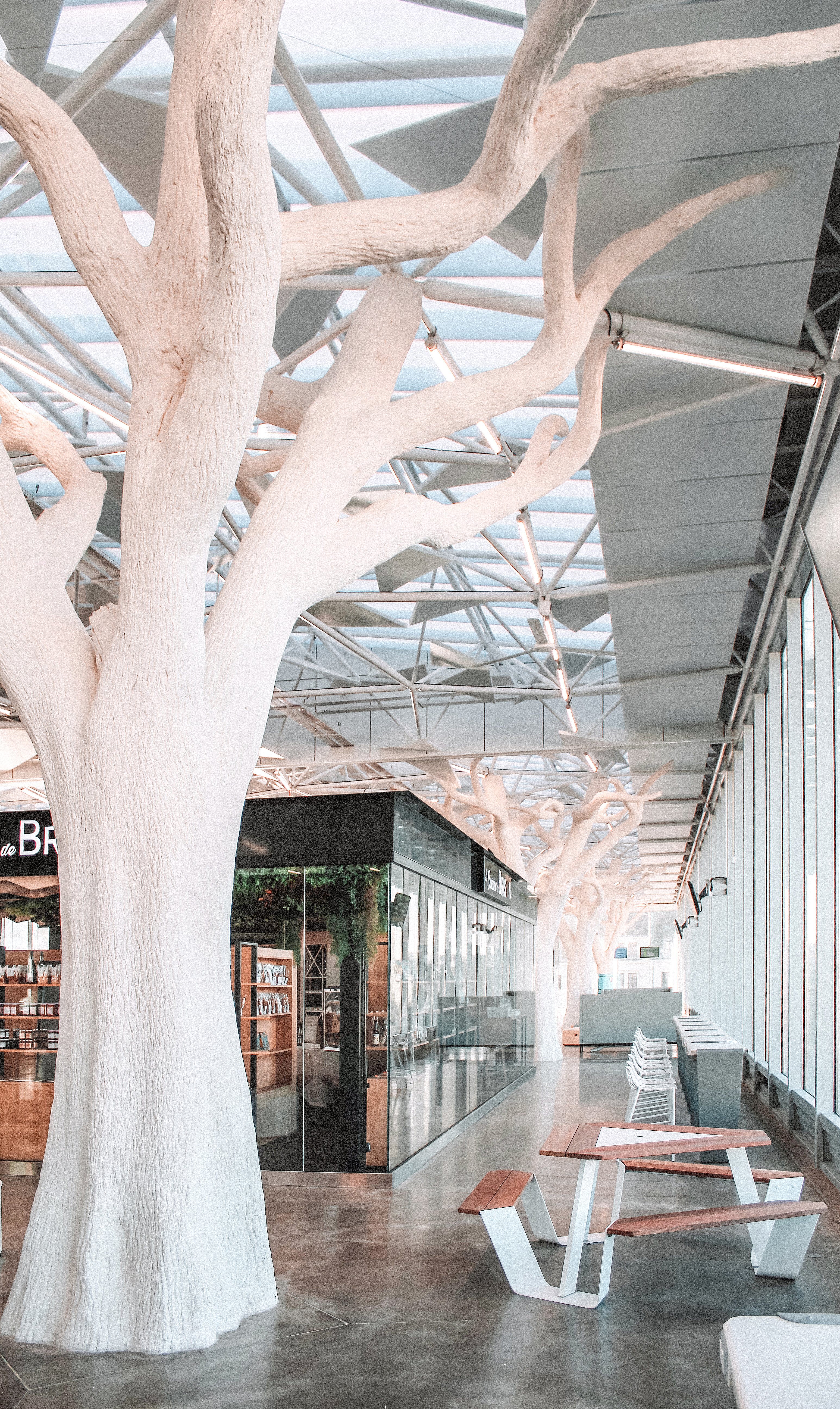 Helle Bahnhofshalle, gesäumt von skulpturalen weißen baumartigen Säulen, mit Anker-Picknicktischen aus Weiß und Holz neben raumhohen Fenstern und einem Geschäft mit Glasfront.
