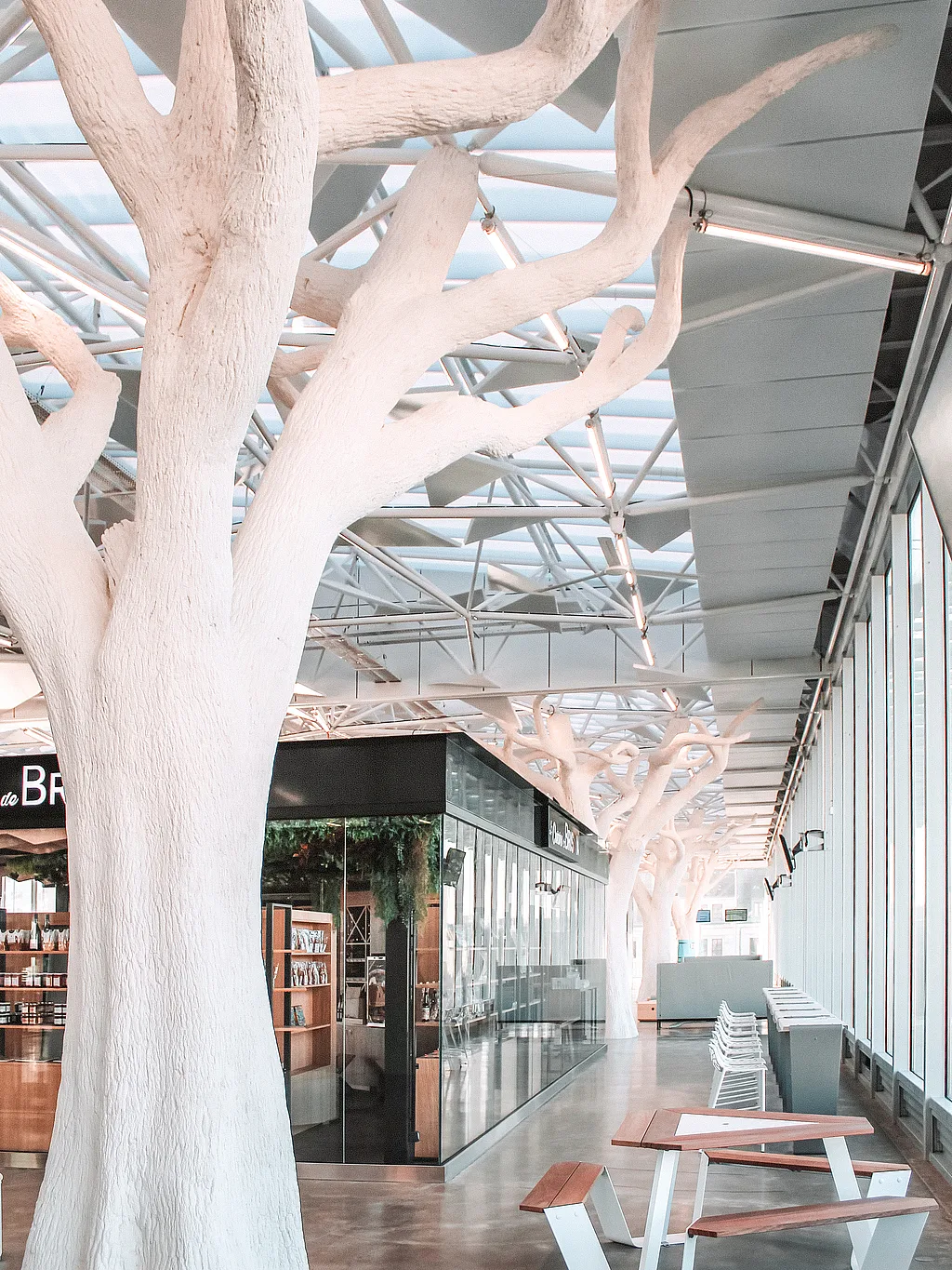 Hall de gare lumineux bordé de colonnes sculpturales ressemblant à des arbres blancs, avec des tables de pique-nique Anker blanches et en bois à côté de fenêtres du sol au plafond et d’une boutique vitrée.