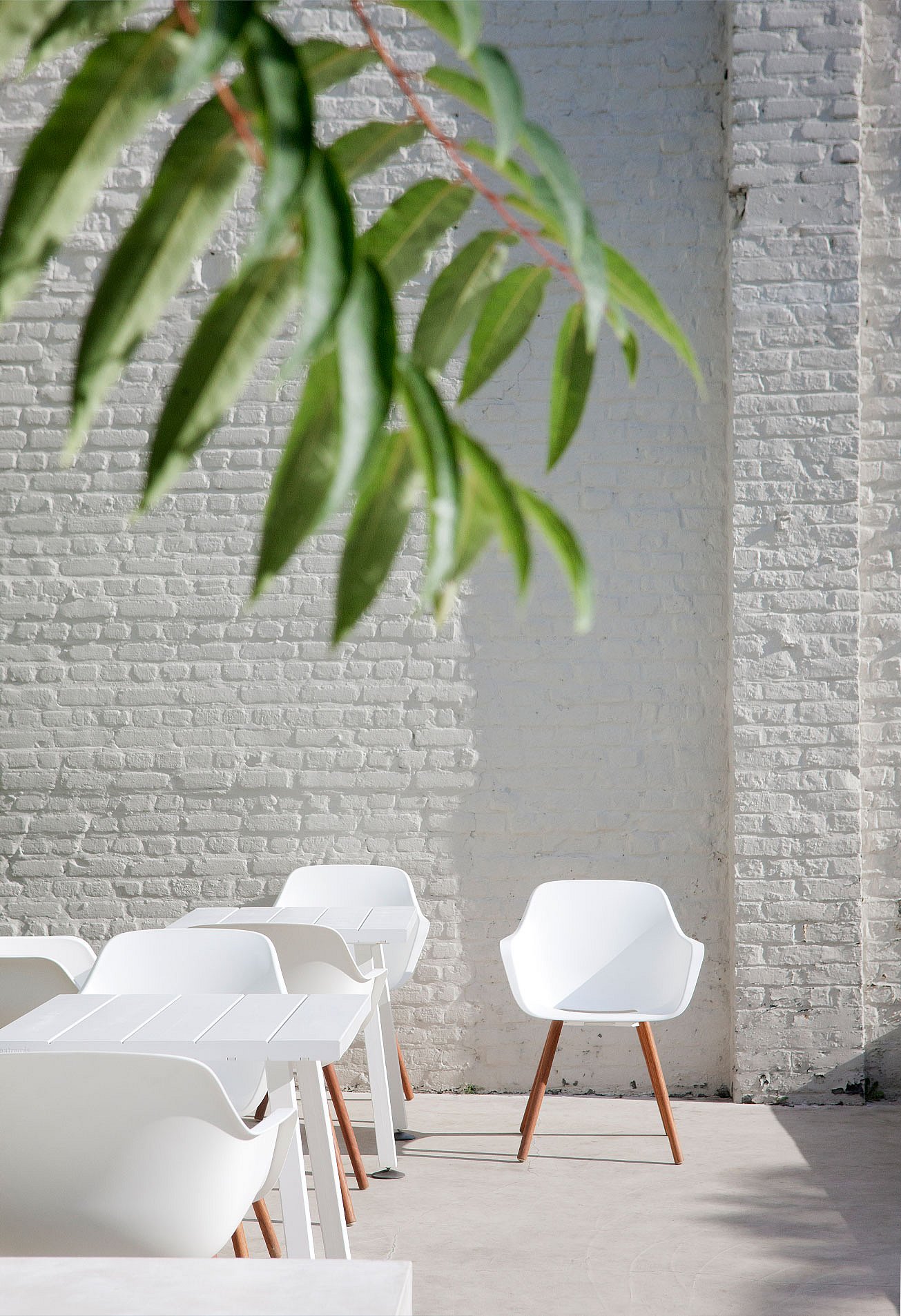 White Marina bistro tables paired with white Captain’s Chairs on a serene terrace, set against a white brick wall with leafy branches hanging into the frame.