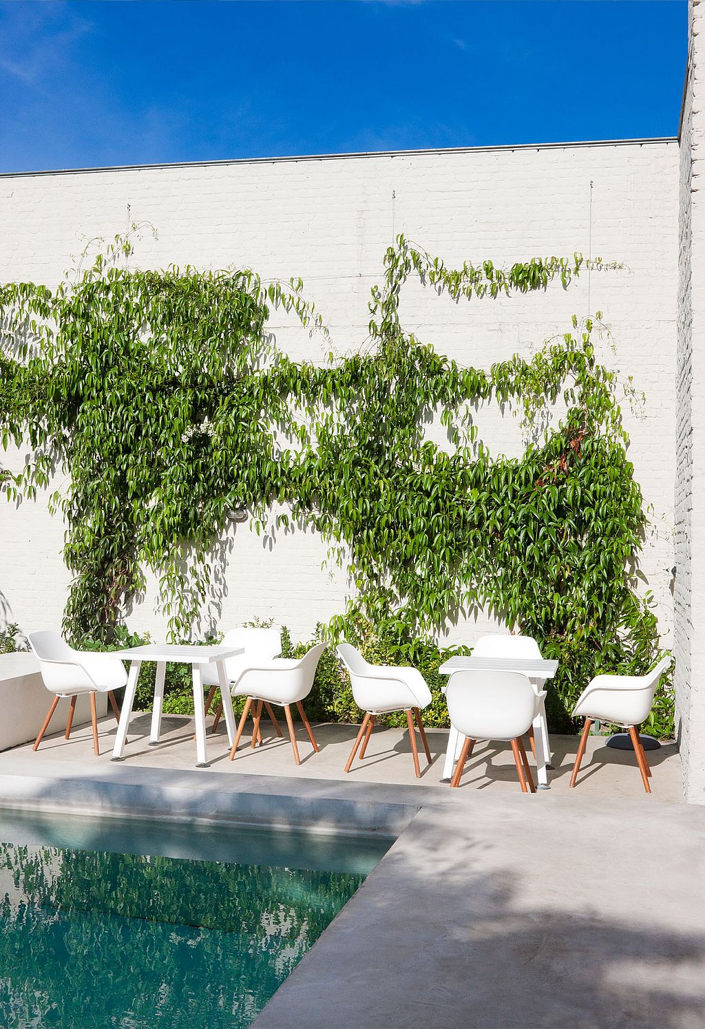 Several white Marina tables with white Captain’s Chairs arranged beside a pool, backed by climbing greenery on a white wall under a bright blue sky.