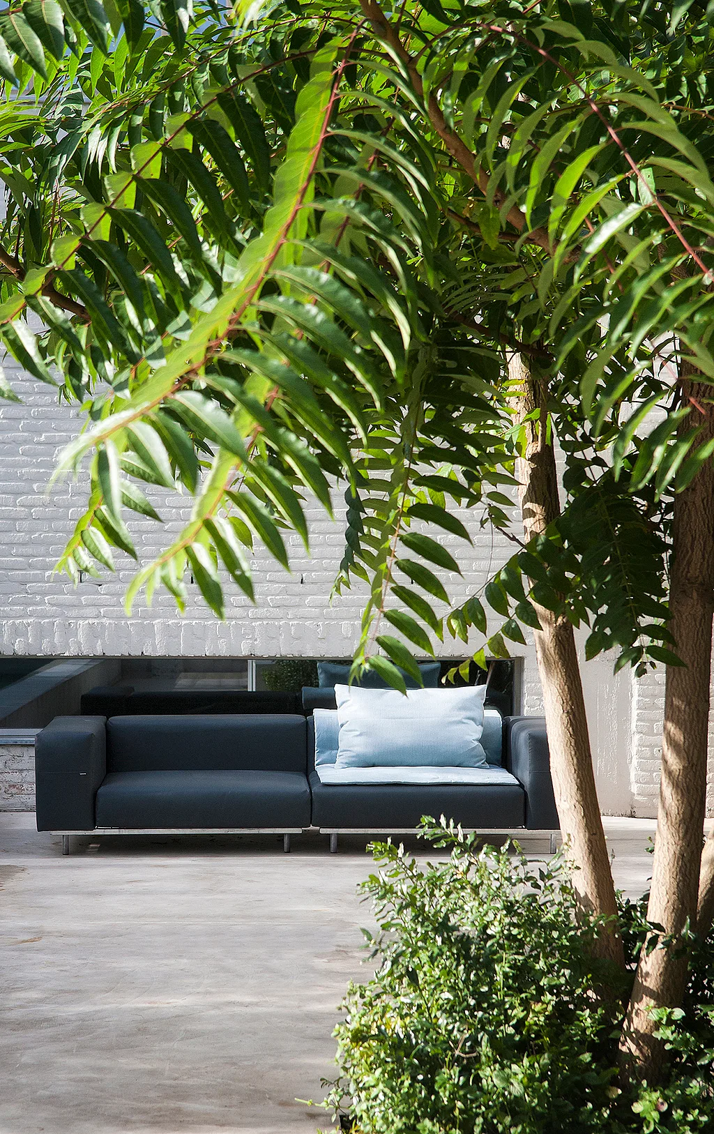 Dark gray outdoor Walrus sofa with a pale blue cushion, placed on a quiet sunlit terrace behind leafy branches and shrubs against a white brick wall.