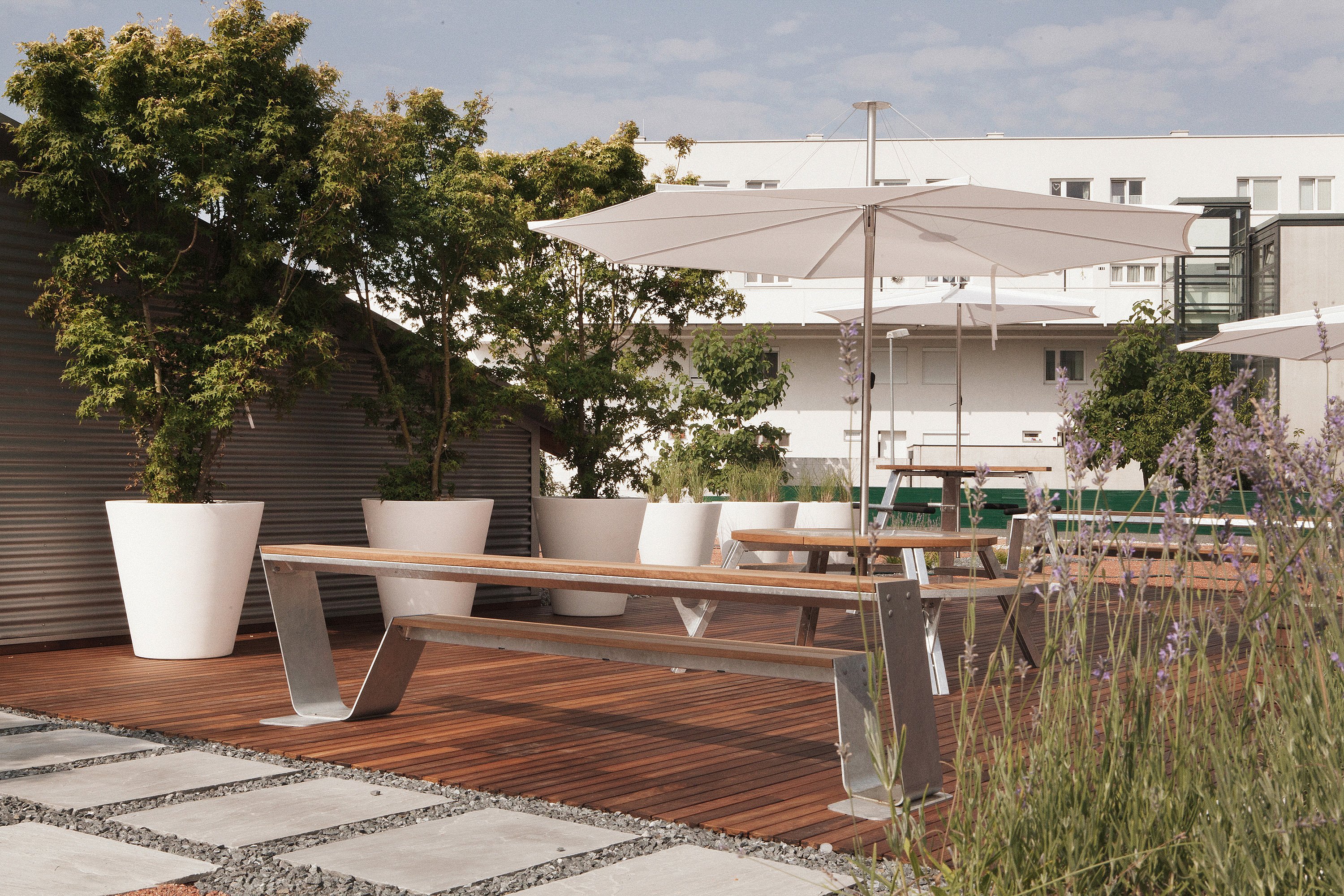 Long wooden bench in the foreground of a planted rooftop terrace, with a large white parasol, round picnic tables, flowering plants, and clinic buildings in the background.