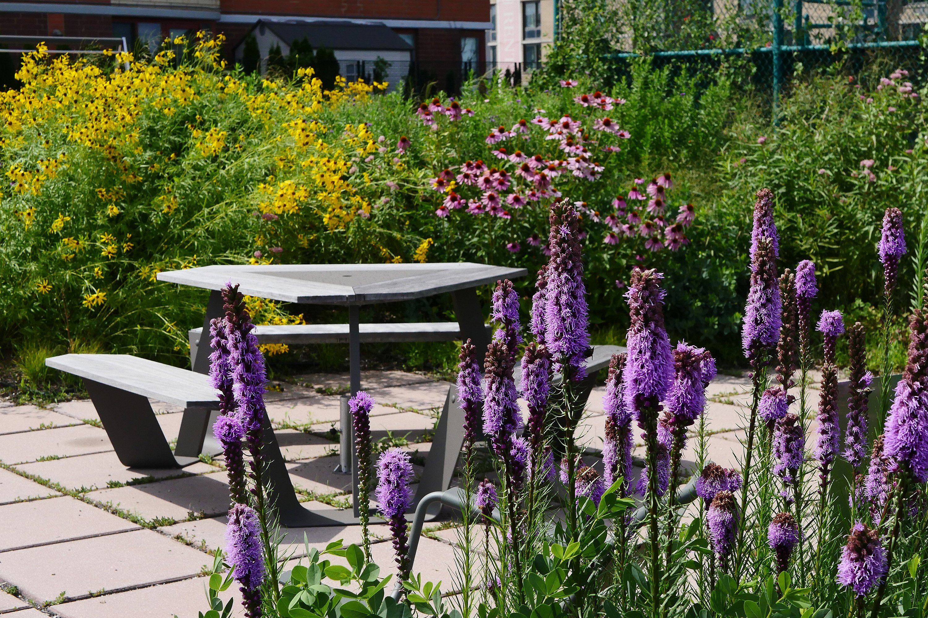 Grijze buitentafel en bank tussen paarse bloempieken en weelderige bloeiende planten op een dakterras.