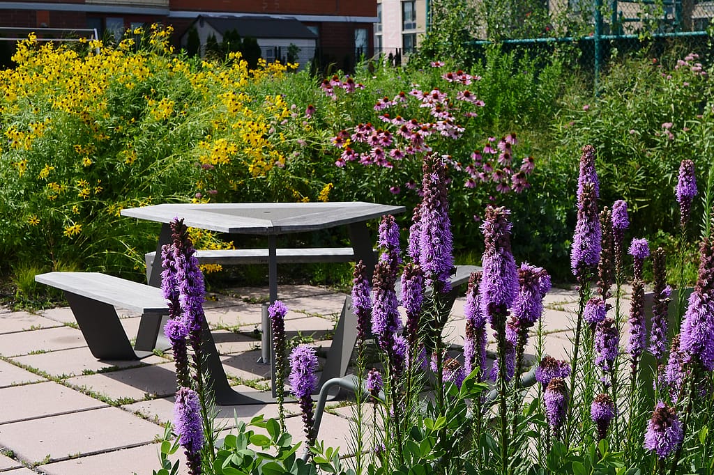 Grijze buitentafel en bank tussen paarse bloempieken en weelderige bloeiende planten op een dakterras.