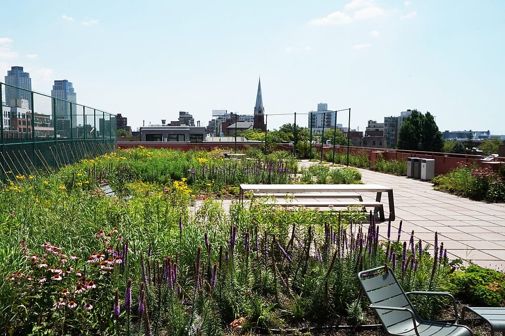 Groene daktuin met verharde zitjes en lage banken, gelegen tegen de skyline van New York met hoge gebouwen in de verte.