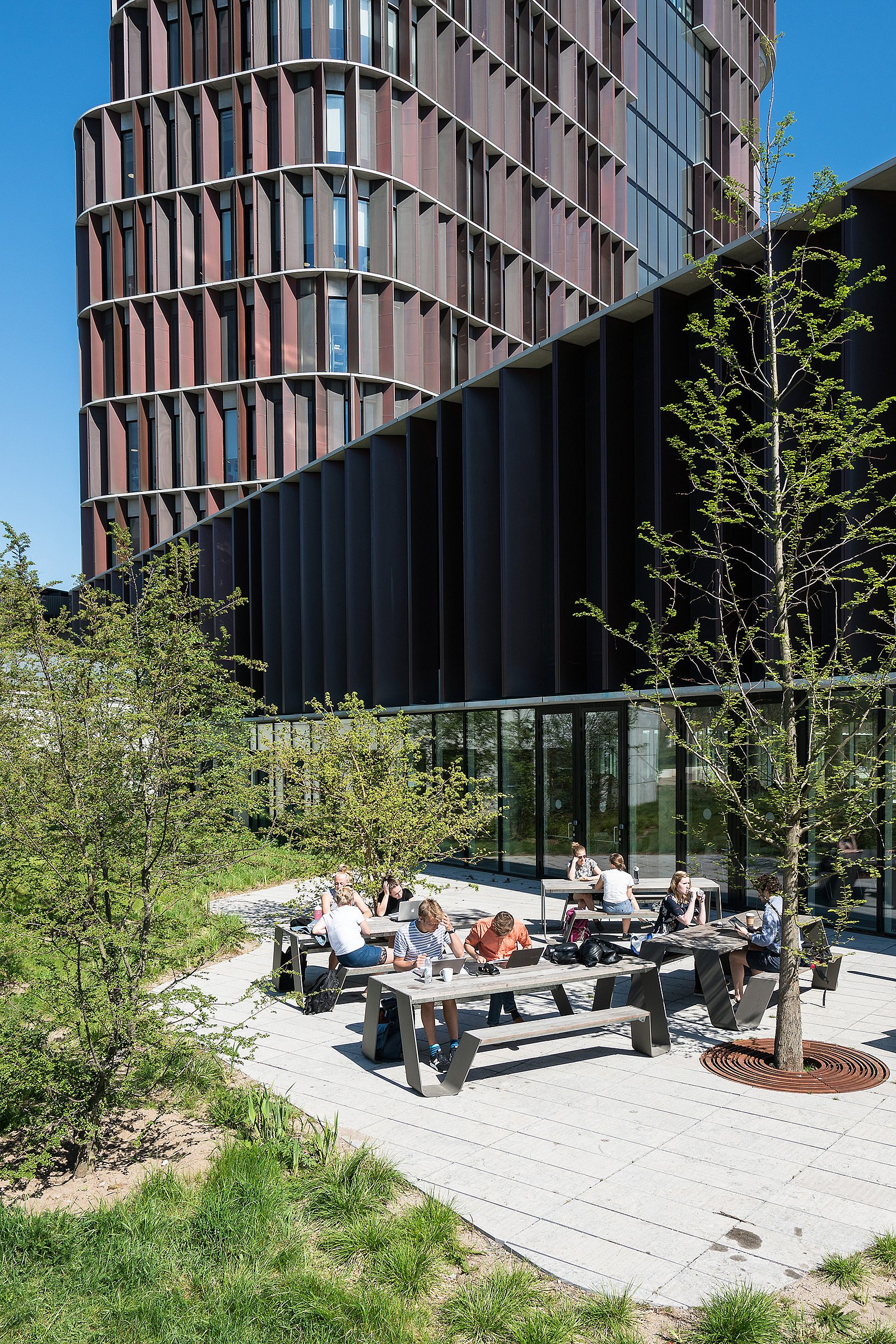 Die Schüler sitzen an einem dunkelbraunen Trichter im Freien auf einer breiten Holzterrasse neben einem Gebäude mit Glasfront, das von dichter grüner Bepflanzung begrenzt wird.