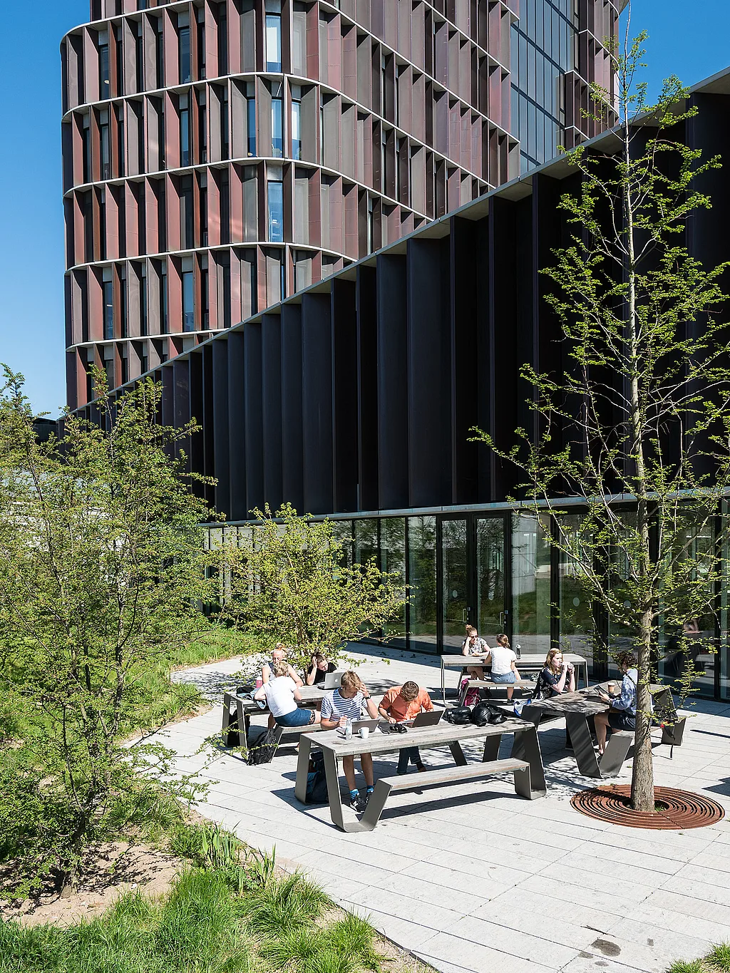 Students seated at a dark brown outdoor hopper on a wide timber terrace beside a glass-fronted building, bordered by dense green planting.