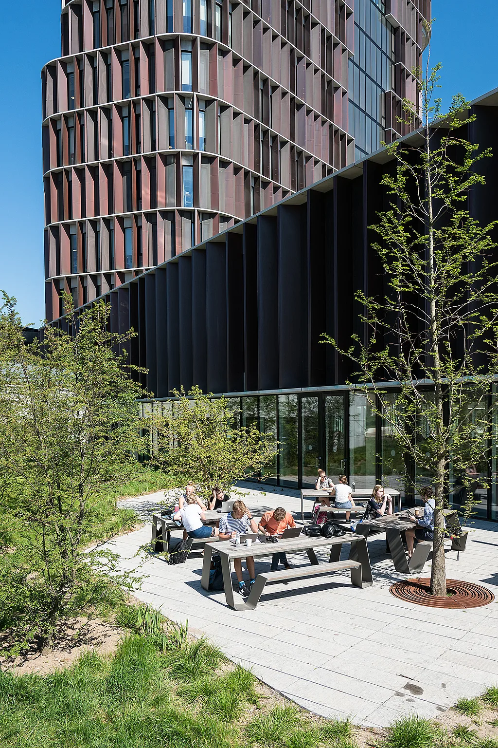 Die Schüler sitzen an einem dunkelbraunen Trichter im Freien auf einer breiten Holzterrasse neben einem Gebäude mit Glasfront, das von dichter grüner Bepflanzung begrenzt wird.