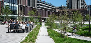 Close view of the Mærsk Tower façade rising above the landscaped park, with young trees and glass walls at ground level.