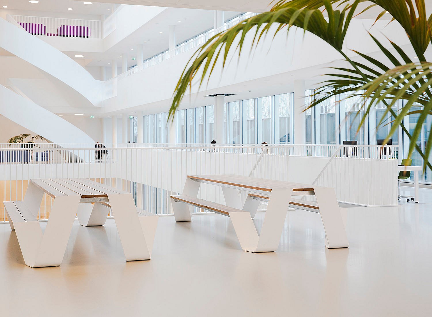 Atrium universitaire d'un blanc éclatant, avec deux tables de pique-nique Hopper blanches à plateau en bois, placées près d'une balustrade. Au premier plan, une grande feuille de palmier encadre le tout, tandis que de hautes fenêtres longent le mur opposé.