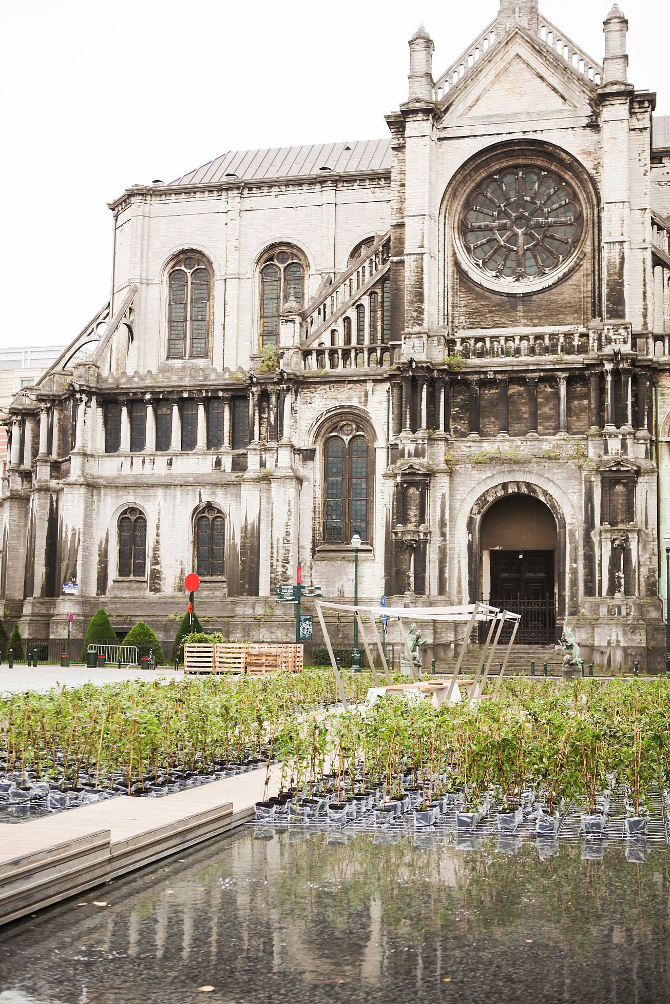 Weitblick auf einen temporären Stadtgarten mit flachem Wasser, Reihen von Topfpflanzen und einem schattigen Hopper-Tisch vor einer großen historischen Kirche.