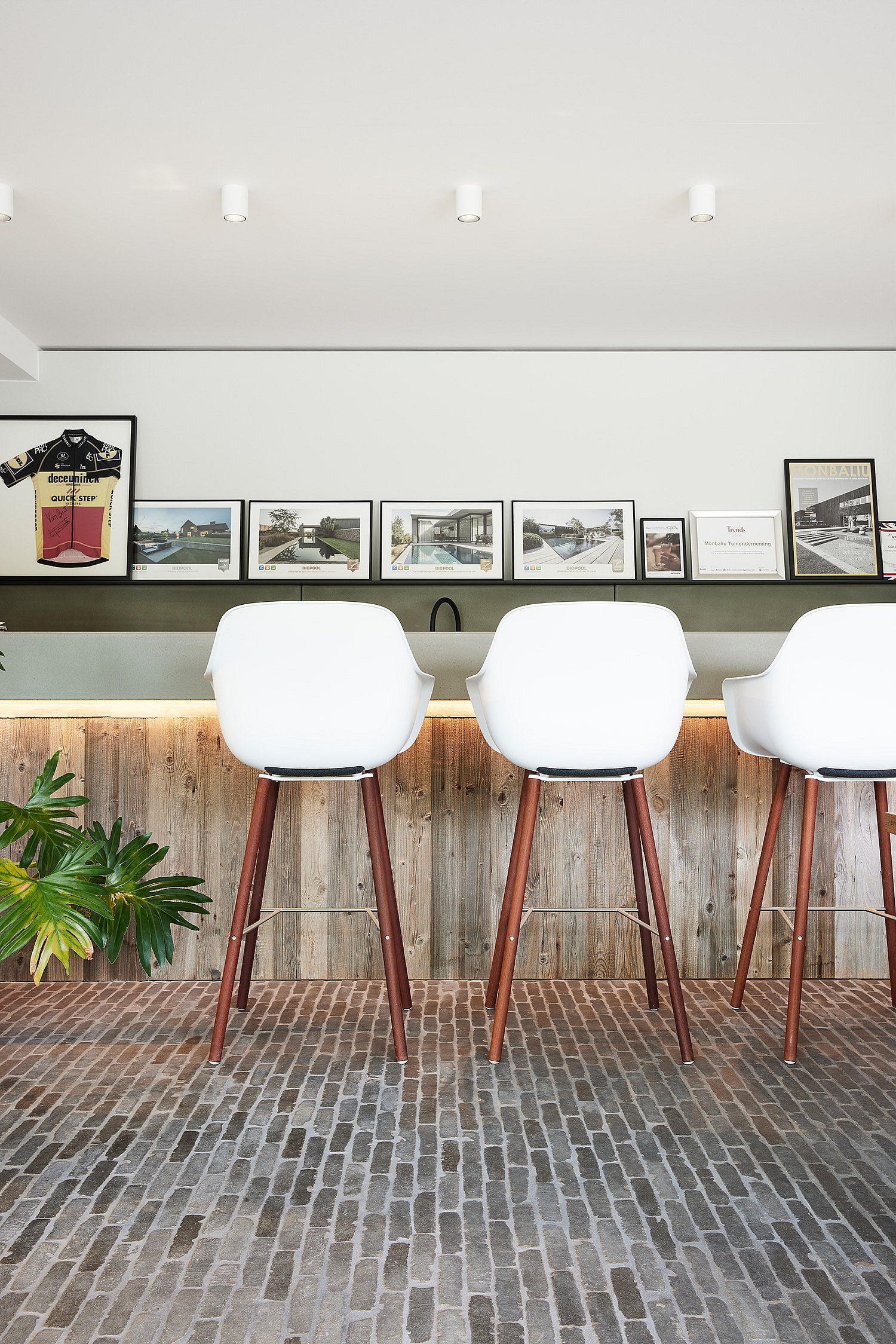 Drei hohe weiße Kapitänsstühle mit Holzbeinen, aufgereiht an einer rustikalen Theke, mit gerahmten Fotos und Zertifikaten, die an der Wand dahinter ausgestellt sind.