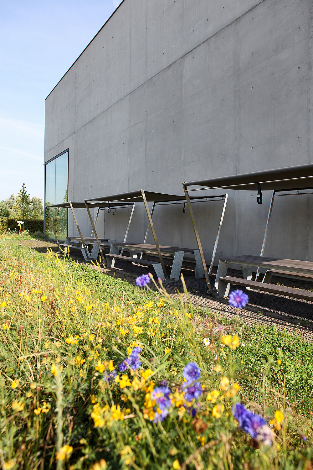Trois tables de pique-nique Hopper ombragées sont disposées le long d'un mur en béton, près d'une prairie de fleurs sauvages jaunes et violettes.