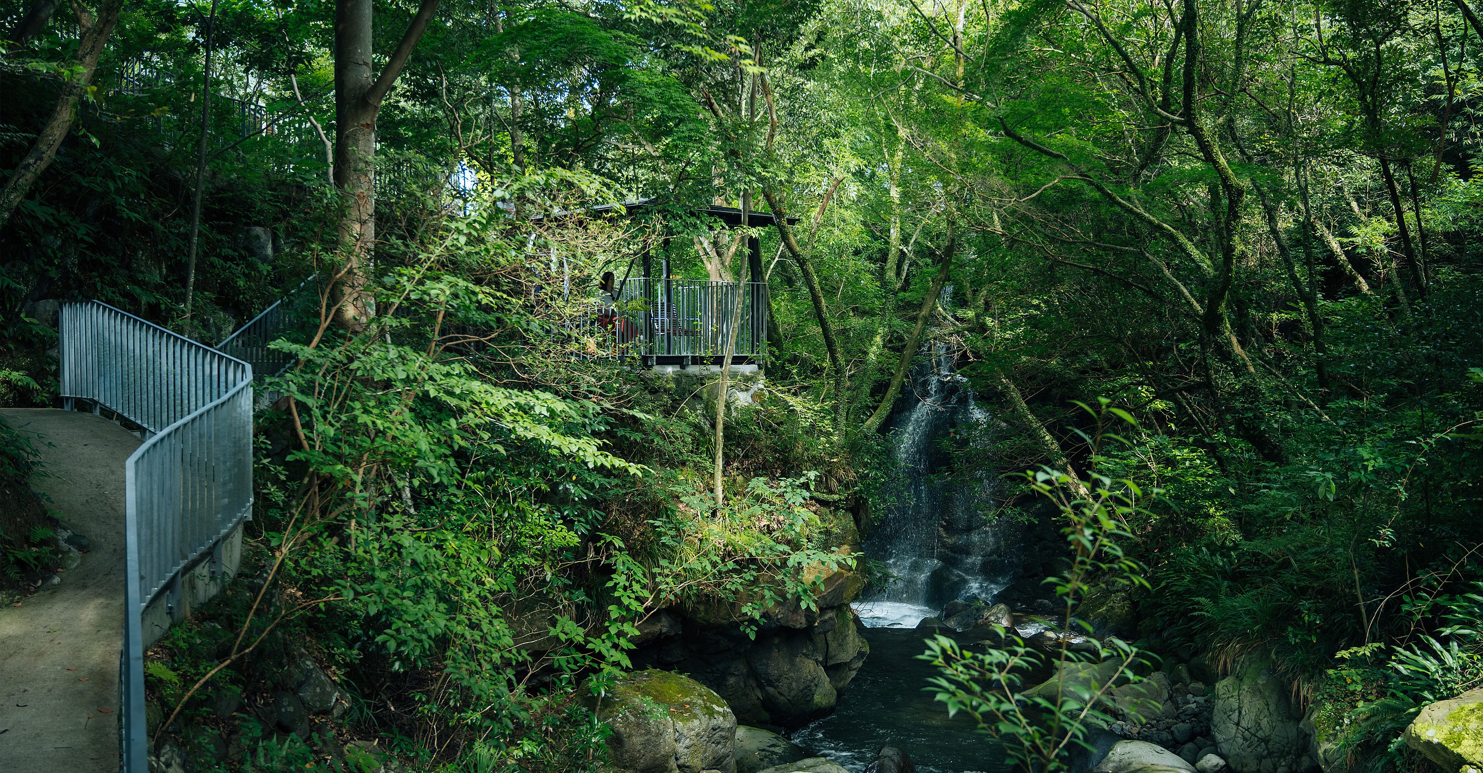 Jardin boisé luxuriant avec une petite cascade, un chemin sinueux et une plateforme d’observation nichée parmi les arbres.