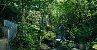 Lush wooded garden with a small waterfall, a winding path, and a viewing platform nestled among the trees.