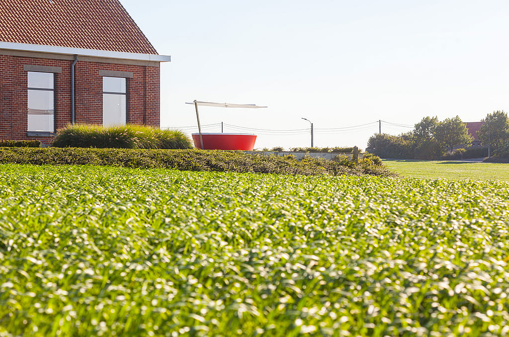 Ver weg uitzicht over een groen gazon richting een rode ronde kosmoslounge en witte parasol op een terras naast een bakstenen huis.