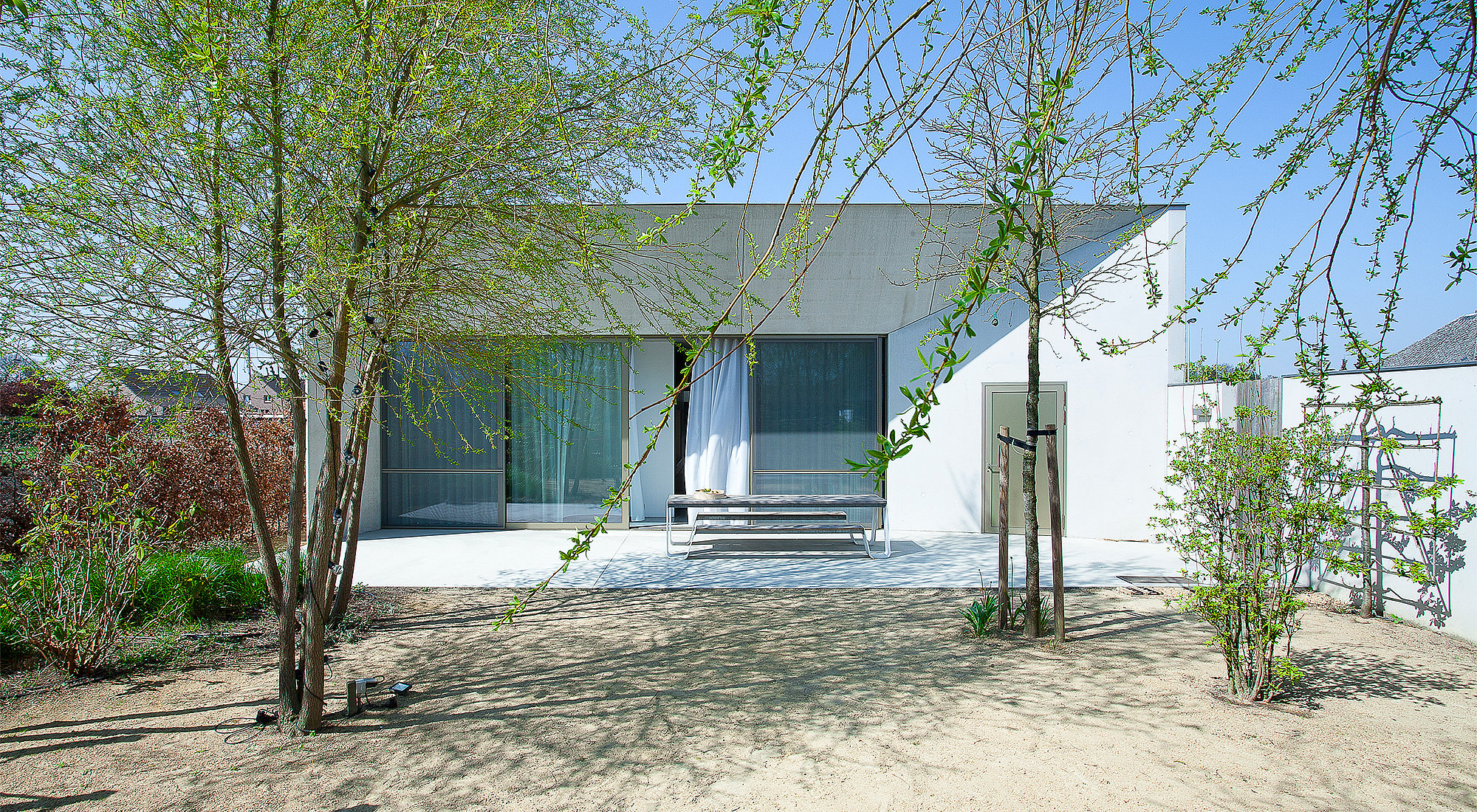 Front garden view of a low white modern house with broad windows and a single white hopper picnic table centered on the terrace, framed by slender trees and sandy planting beds.