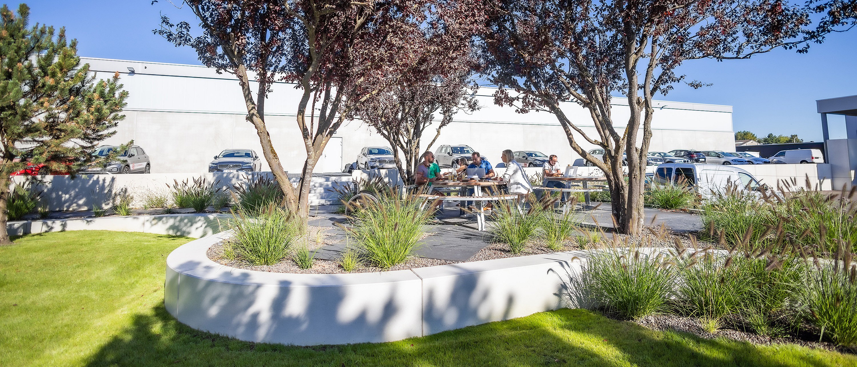 Weite Aussicht auf eine angelegte Terrasse mit geschwungenen weißen Pflanzkanten, Rasen und mehreren gigantischen Picknicktischen unter roten Bäumen, mit Menschen, die sich zum Mittagessen versammelt haben, und geparkten Autos dahinter.
