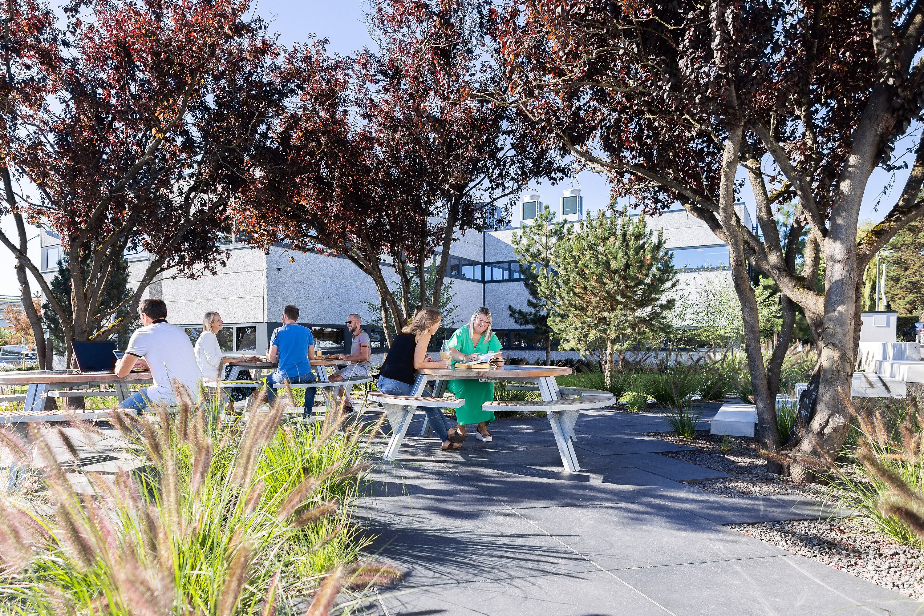 Des gens assis à des tables de pique-nique rondes et gigantesques avec des bancs circulaires sur une terrasse pavée sous des arbres à feuilles rouges, avec des herbes ornementales et un bâtiment industriel léger en arrière-plan.