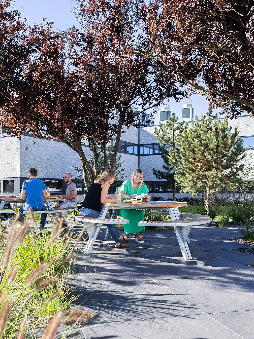 People seated at round gargantua picnic tables with circular benches on a paved terrace beneath red-leaf trees, with ornamental grasses and a light industrial building in the background.