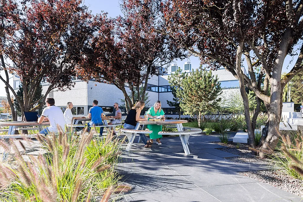Des gens assis à des tables de pique-nique rondes et gigantesques avec des bancs circulaires sur une terrasse pavée sous des arbres à feuilles rouges, avec des herbes ornementales et un bâtiment industriel léger en arrière-plan.