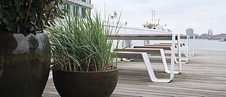 Large planters with leafy shrubs and tall grasses beside white hopper picnic tables with wooden tops on a waterside terrace, with a ship and harbor skyline in the distance.
