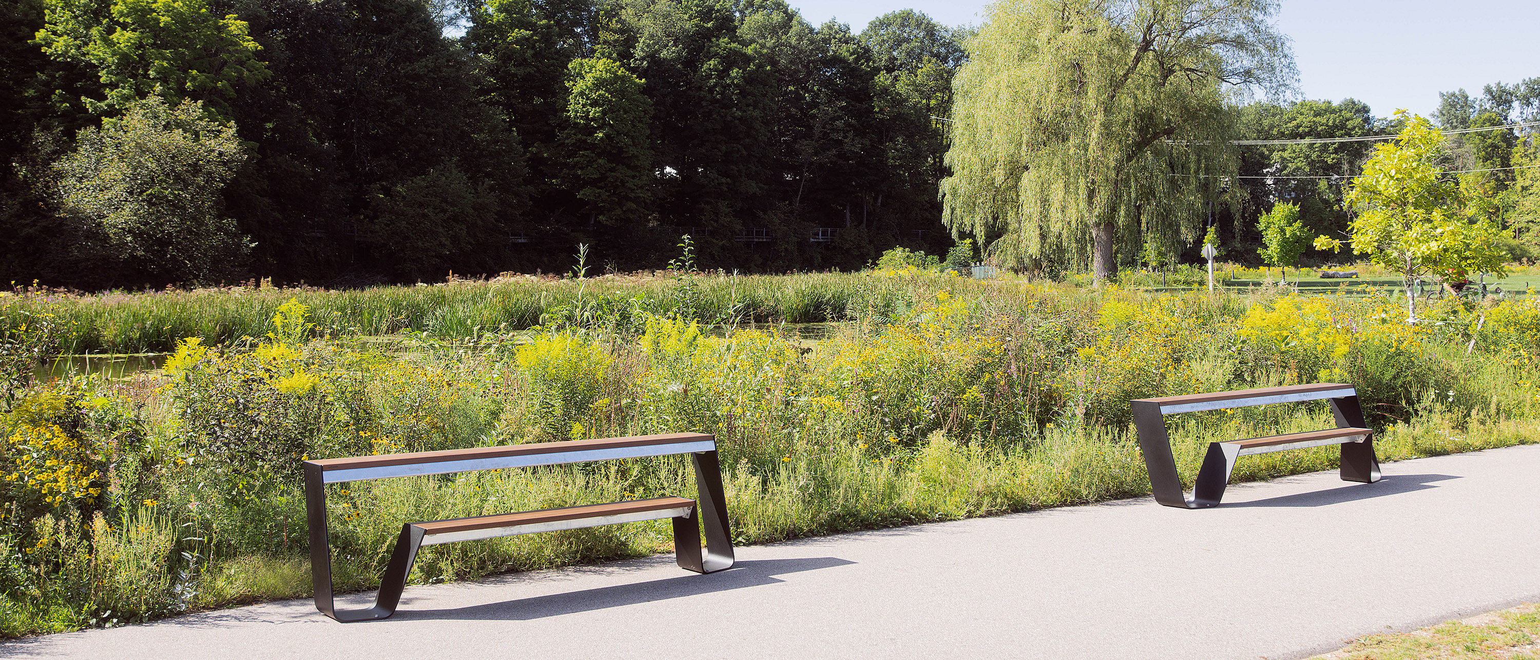 Zwei leere Trichterbänke säumen einen gepflasterten Weg neben einem Teich und dichten gelben Wildblumen, mit einer großen Weide und Wäldern im Hintergrund.