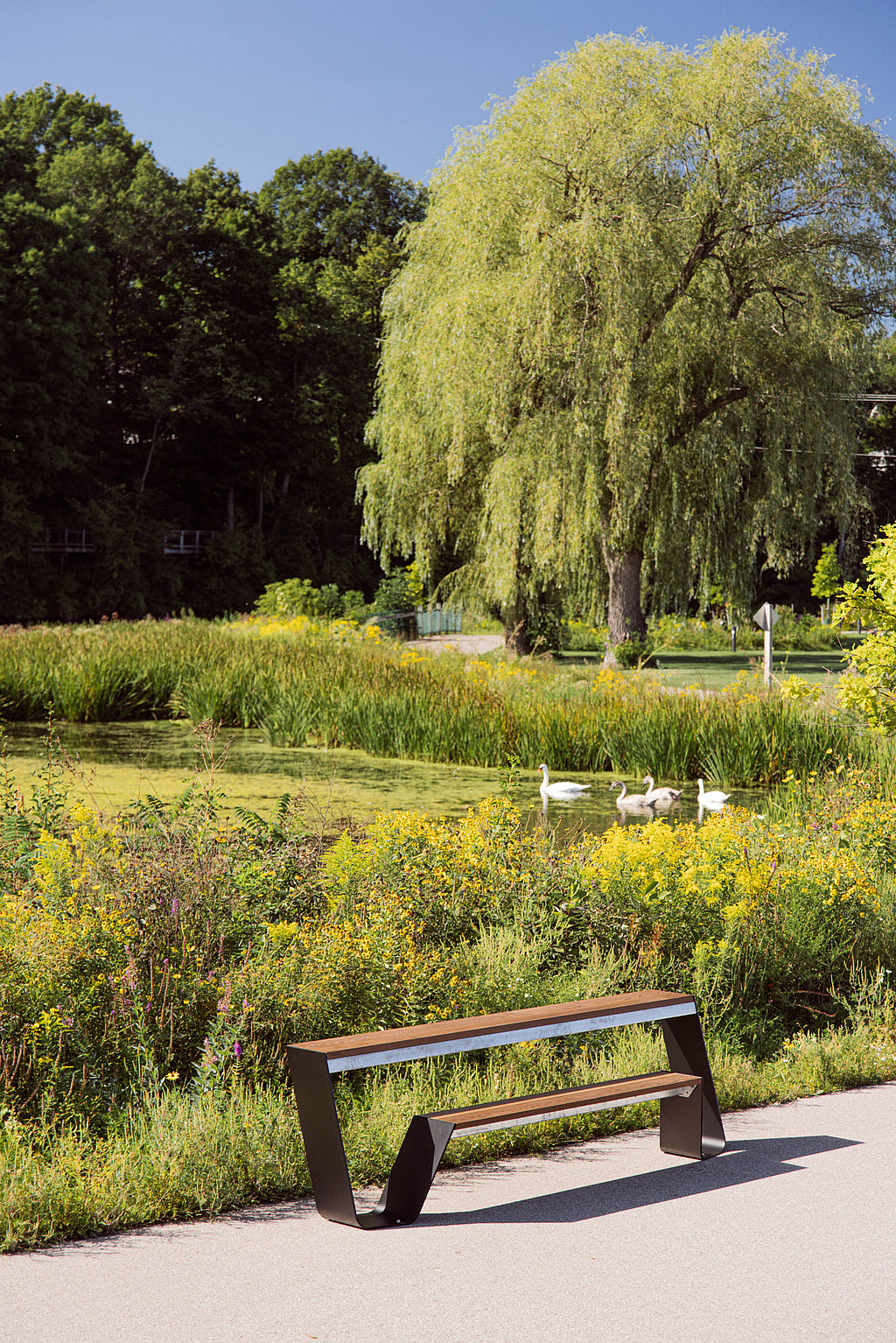 Einzelne Trichterbank neben einem gepflasterten Weg mit Blick auf einen Teich mit Gänsen, eingerahmt von gelben Wildblumen und einer großen Trauerweide.