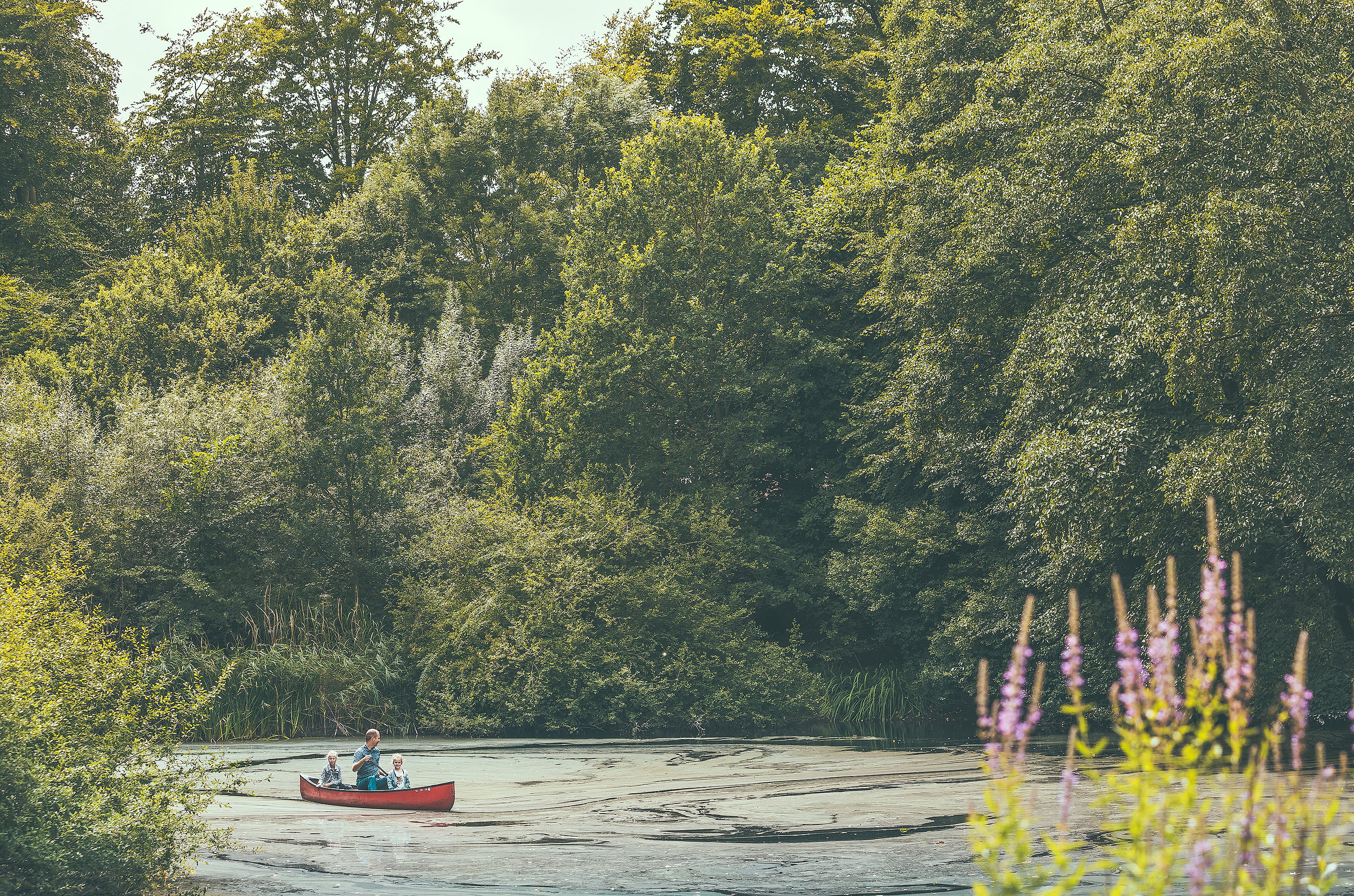 A man and two children paddle a red canoe across a quiet lake surrounded by dense green trees and wildflowers.