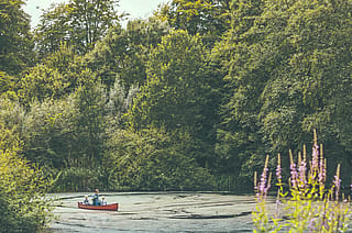 A man and two children paddle a red canoe across a quiet lake surrounded by dense green trees and wildflowers.