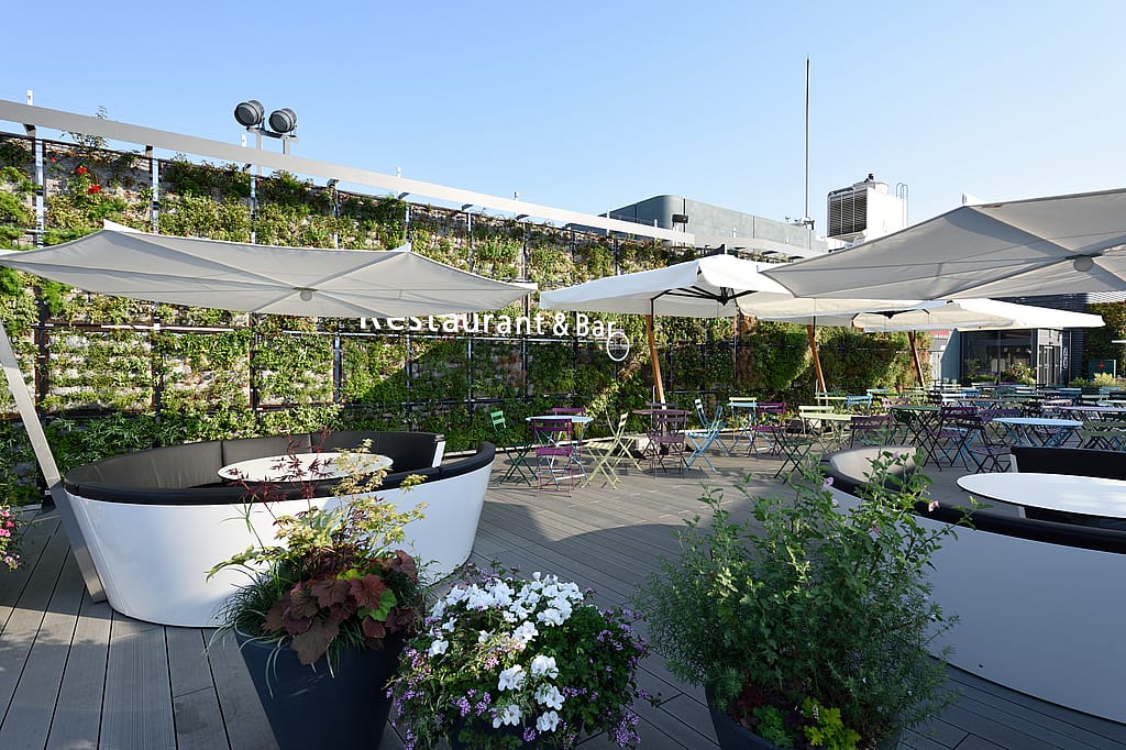 Zwei weiße Kosmos-Sofas stehen unter großen weißen Jalousien auf einer hölzernen Dachterrasse, umgeben von Blumentöpfen, Caféstühlen und einer hohen grünen Wohnwand.
