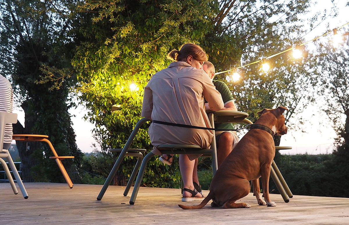 Low-angle view of two people seated at a green Virus table on a wooden terrace at dusk, with a brown dog in the foreground and warm string lights hanging through the trees behind them.